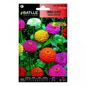 Batlle Semillas Zinnia Liliput Variada Pom Pom