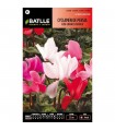 Batlle Semillas De Cyclamen De Persia