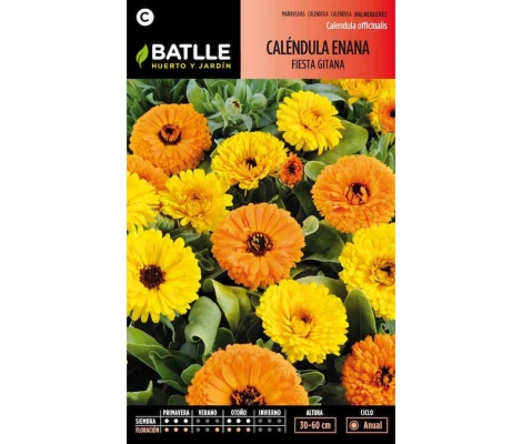 Batlle Semillas De Caléndula Enana Fiesta Gitana