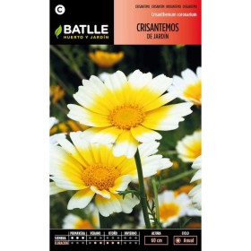 Batlle Semillas De Crisantemos De Jardín