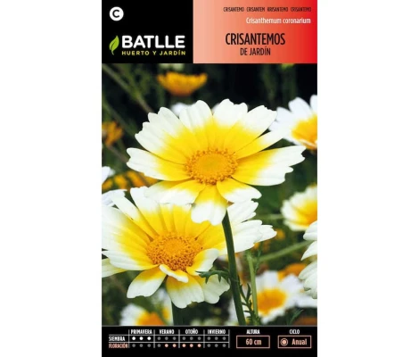 Batlle Semillas De Crisantemos De Jardín