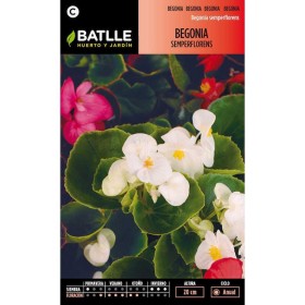 Batlle Semillas De Begonia Semperflorens