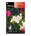 Batlle Semillas De Begonia Semperflorens