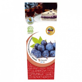 Planta De Endrino 2L Natural