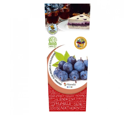 Planta De Endrino 2L Natural