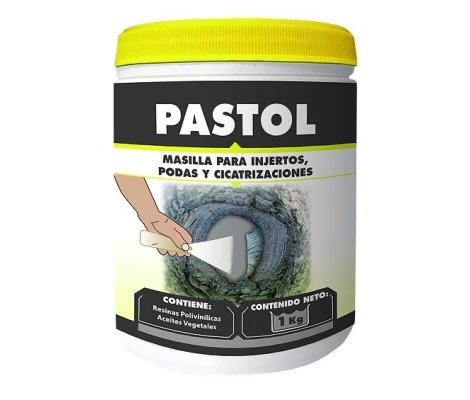 Masilla Cicatrizante PASTOL