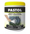 Masilla Cicatrizante PASTOL