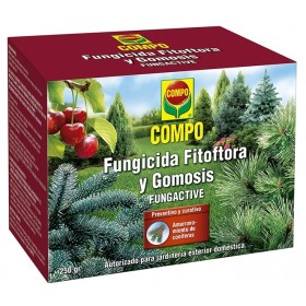 Compo Fungicida Fitoftora y Gomosis Coniferas 250 g