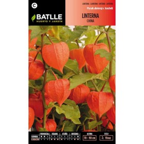 Batlle Semillas De Linterna China