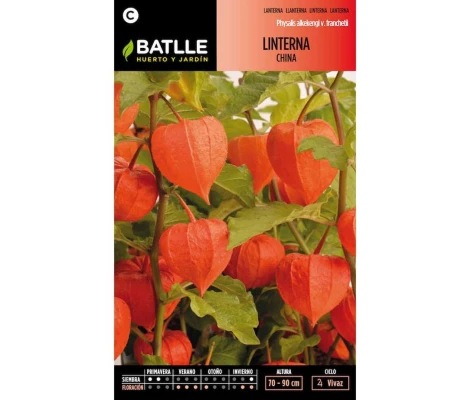 Batlle Semillas De Linterna China