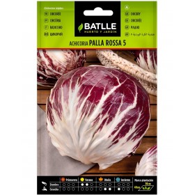 Batlle Semilla Achicoria Palla Rossa 5