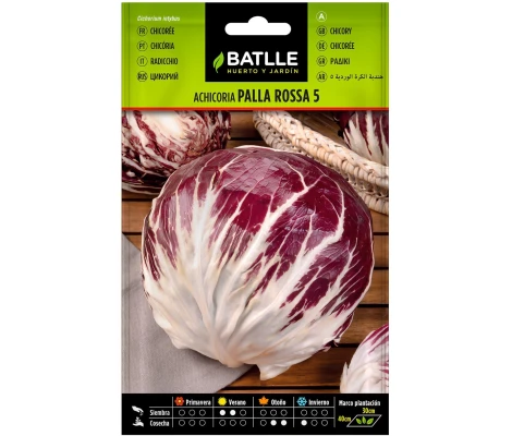 Batlle Semilla Achicoria Palla Rossa 5