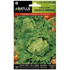 Batlle Semillas De Lechuga Batavia  Dorada De Primavera