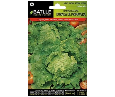 Batlle Semillas De Lechuga Batavia  Dorada De Primavera