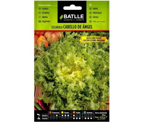 Batlle Semillas Escarola Cabello De Ángel