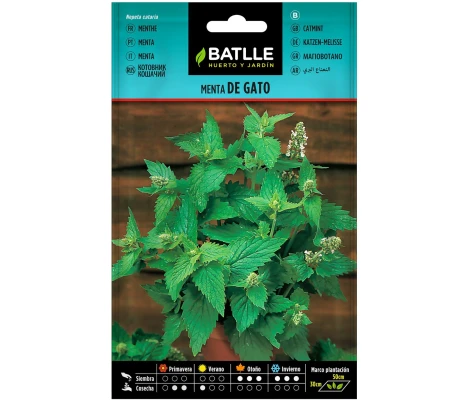 Batlle Semillas Menta De Gato