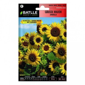 Batlle Semillas De Girasol Waooh Amarillo