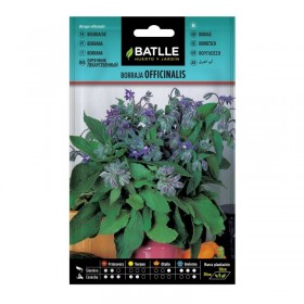 Batlle Semillas Borraja Officinalis