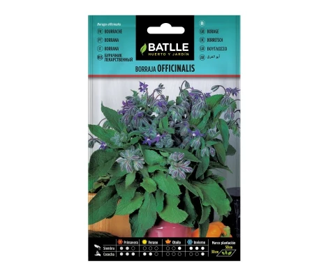 Batlle Semillas Borraja Officinalis