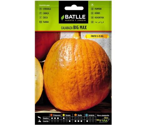 Batlle Semillas De Calabaza Big Max