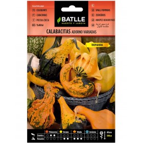 Batlle Semillas De Calabacitas Adorno Variadas