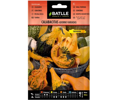 Batlle Semillas De Calabacitas Adorno Variadas