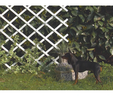 Celosía Extensible De Plástico Blanco Trelliflex