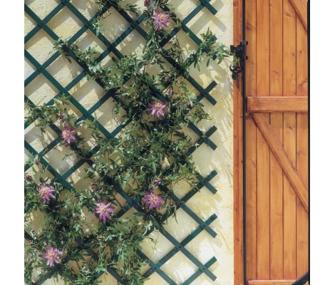 Celosía Extensible De Plástico Verde Trelliflex