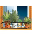 Soporte Extensible Ventana Centroflor