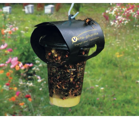 Cebo Líquido Atrayente De Avispas Asiáticas y Velutinas -10 ML Vespa Catch