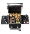 Weber Barbacoa De Gas Spirit Original E-210 Black