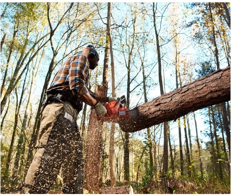 Husqvarna Motosierra 460 Rancher