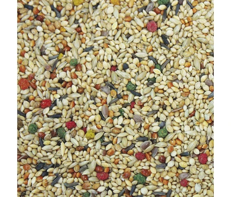 Alimento Exoticos Vit Pro 1Kg