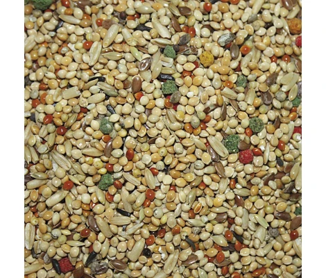 Alimento Periquitos Vit Pro 1kg