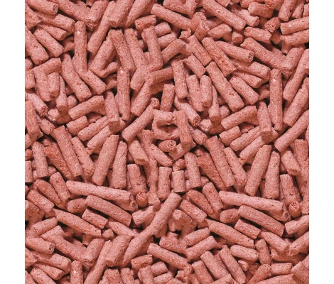 Alimento Colorante Para Peces Sera Pond Color Sticks