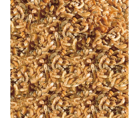 Sera Raffy I Golosina Con Gammarus Para Reptiles 35g