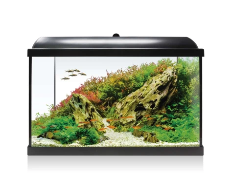 Kit  AQUA LED  RGB 68 60L