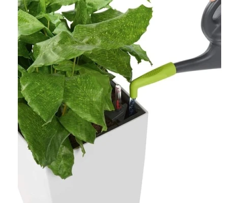 Lechuza Adjunto Para Regaderas Pico Verde