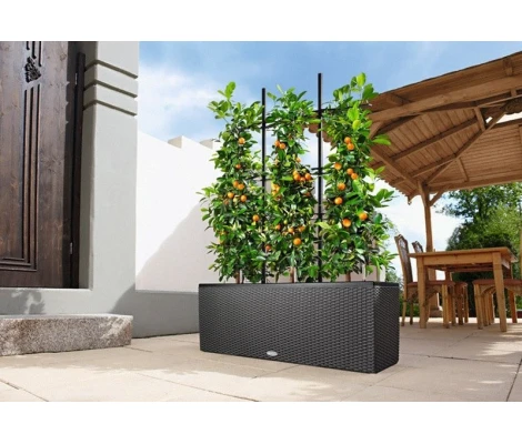 Lechuza Enrejado Para Trío 30 y Trío 40