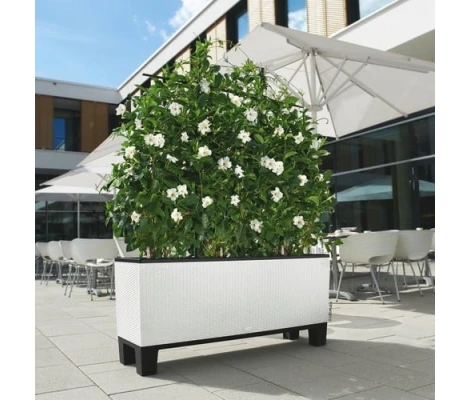 Lechuza Pedestal Para Trio 30 y 40