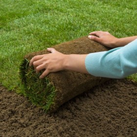 Tepes Césped Natural En Rollos 1m2 En Cantabria