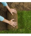 Tepes Césped Natural En Rollos 1m2 En Cantabria