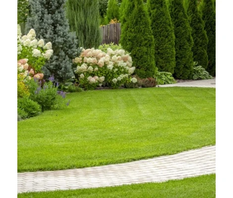 Tepes Césped Natural En Rollos 1m2 En Cantabria