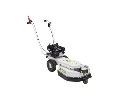 Etesia Desherbadora MBR50