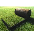 Tepes Césped Natural en Rollos